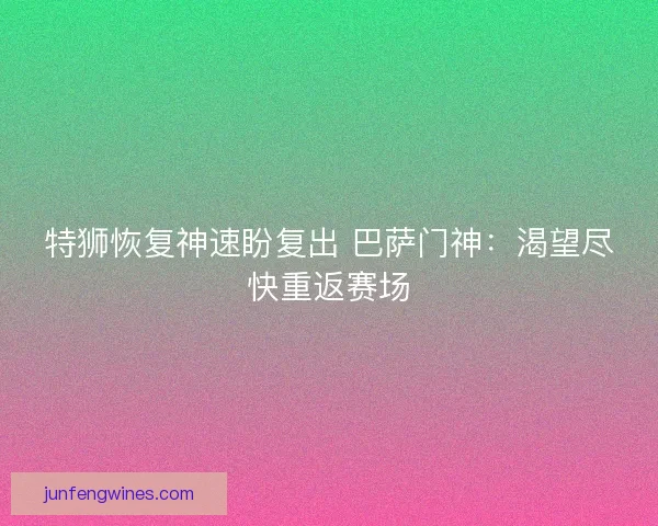 特狮恢复神速盼复出 巴萨门神：渴望尽快重返赛场