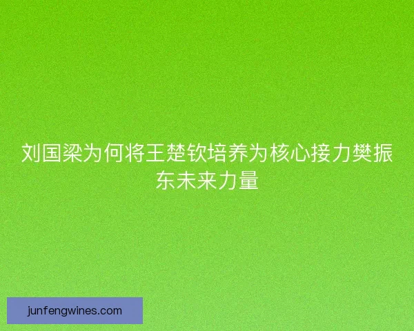 刘国梁为何将王楚钦培养为核心接力樊振东未来力量 刘国梁为何将王楚钦培养为核心接力樊振东未来力量